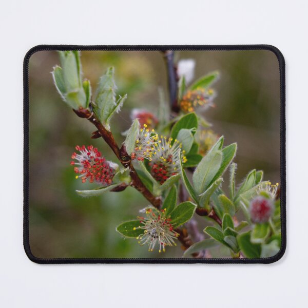 Item preview, Alpine flowers designed and sold by Shizenkai.