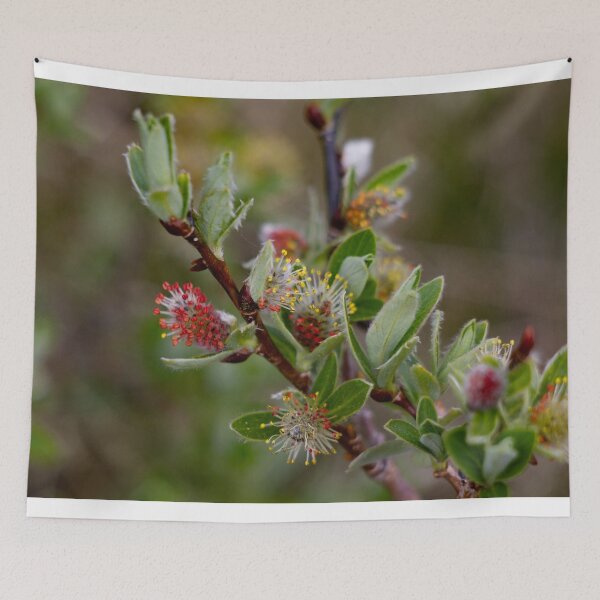 Item preview, Alpine flowers designed and sold by Shizenkai.