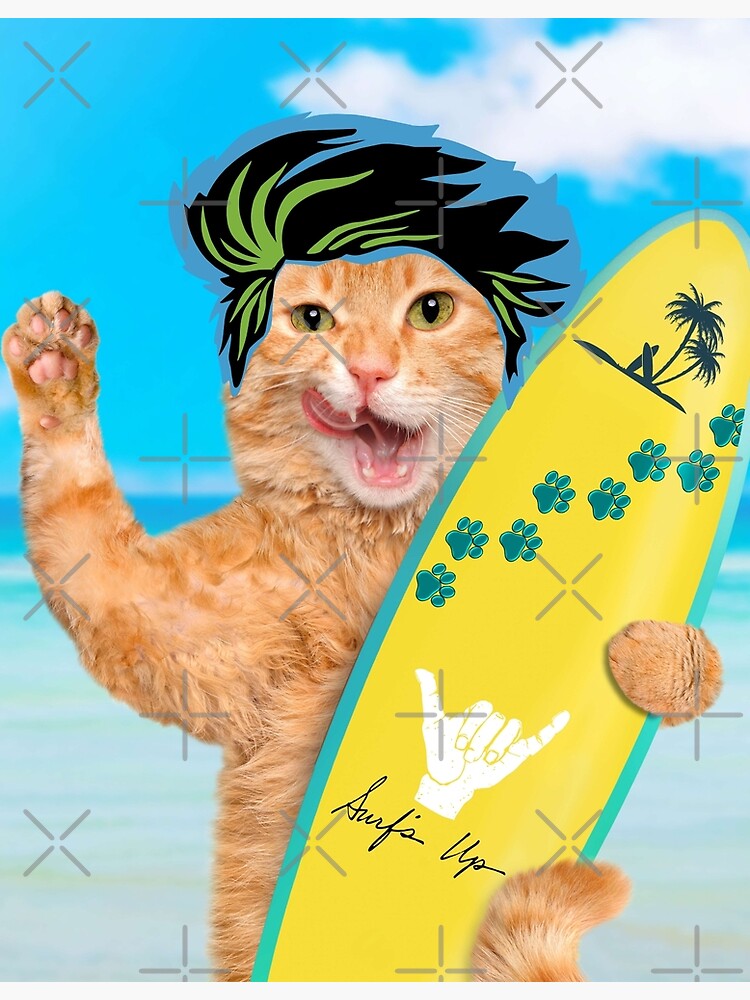 Funny cat surfing, cute kitty cat surfer dude