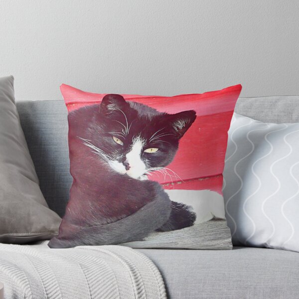 Item preview, My favourite place in the sun designed and sold by angel1.