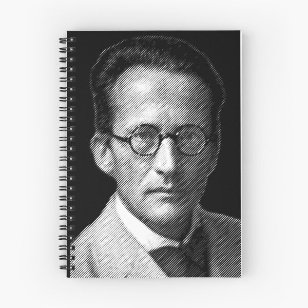 Aperçu de l'œuvre Erwin Schrodinger, portrait créée et vendue par close-up.biz.