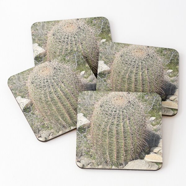 Item preview, Southwestern Barrel Cactus designed and sold by Image-Prints.