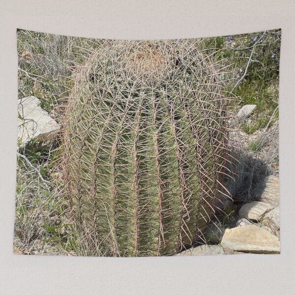 Item preview, Southwestern Barrel Cactus designed and sold by Image-Prints.