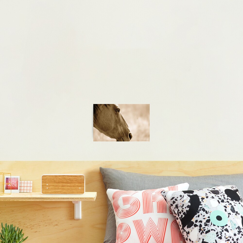 Item preview, Photographic Print designed and sold by millymol.