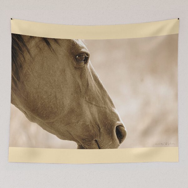 Item preview, Middle Distance designed and sold by seventySIXart&photo .