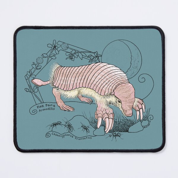 Item preview, A Pink Fairy Armadillo under the moon designed and sold by mernstw.
