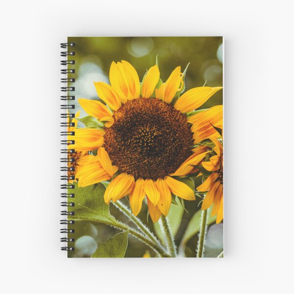 Item preview, Sunflower Trio designed and sold by CeeJBeeCreates.