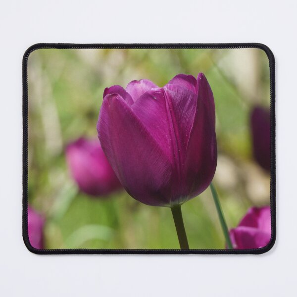 Item preview, Tulips in violet against a green background designed and sold by Binas-gallery.