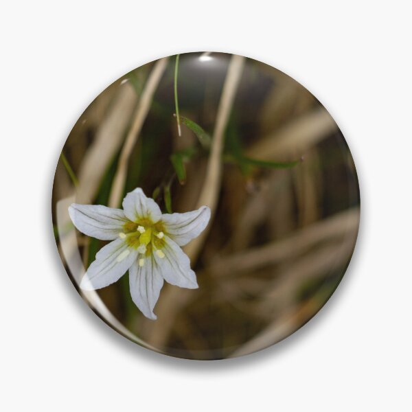 Item preview, White flower blooming in thick grass designed and sold by Shizenkai.