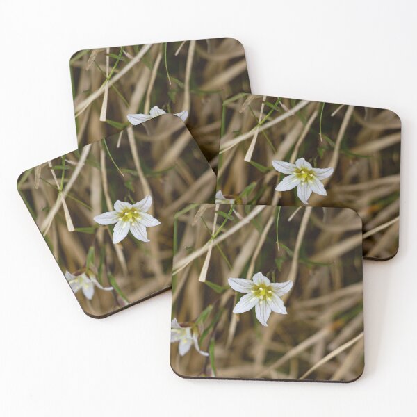 Item preview, White flower blooming in thick grass designed and sold by Shizenkai.