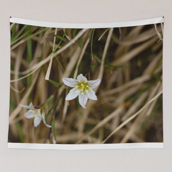 Item preview, White flower blooming in thick grass designed and sold by Shizenkai.