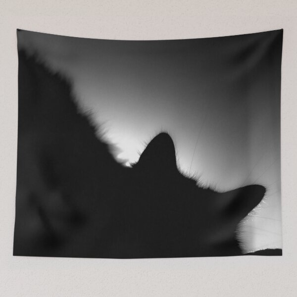 Item preview, Cat's furry shadow contour in a dim lit room. Dark black and white digital photography. designed and sold by nachodramis.