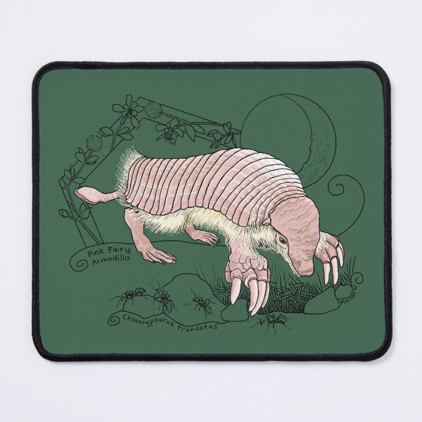 Item preview, A Pink Fairy Armadillo under the moon - green background designed and sold by mernstw.