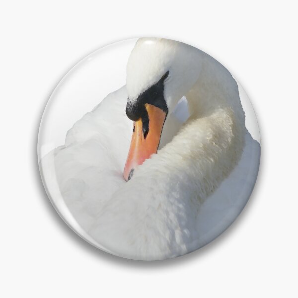 Item preview, Real white swan designed and sold by GenevraAndCo.