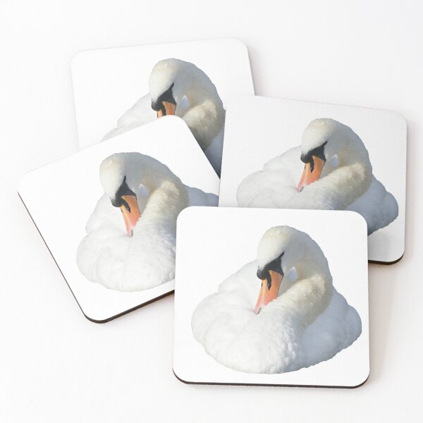 Item preview, Real white swan designed and sold by GenevraAndCo.