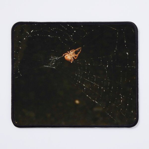 Item preview, Itsy Bitsy Weaver designed and sold by seventySIXart&photo .