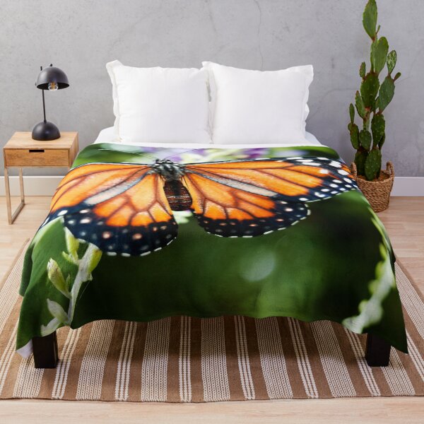 Item preview, Gorgeous Monarch butterfly posing on a branch with widespread wings, color photography designed and sold by nachodramis.
