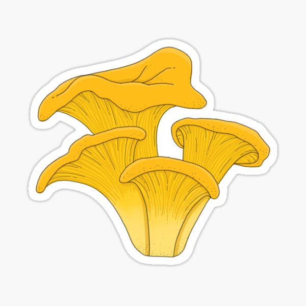 Item preview, Chanterelle Mushrooms designed and sold by ensdraws.