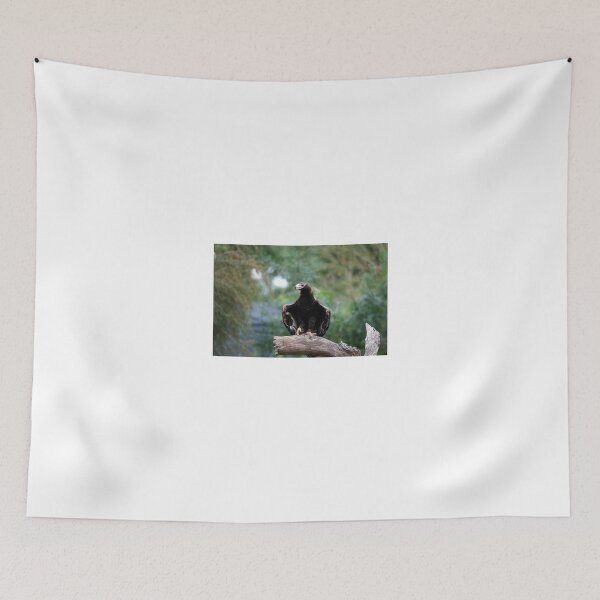 Item preview, Eagle Pose designed and sold by GP1746.