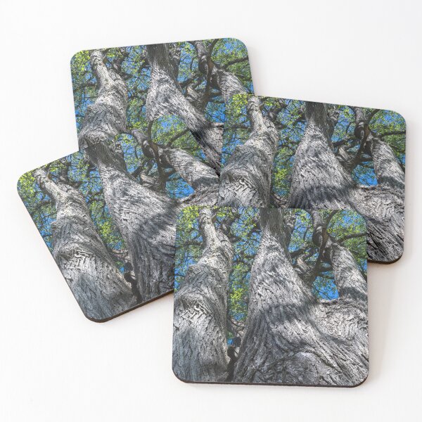 Item preview, Spring has sprung on top! designed and sold by Joel Bader.