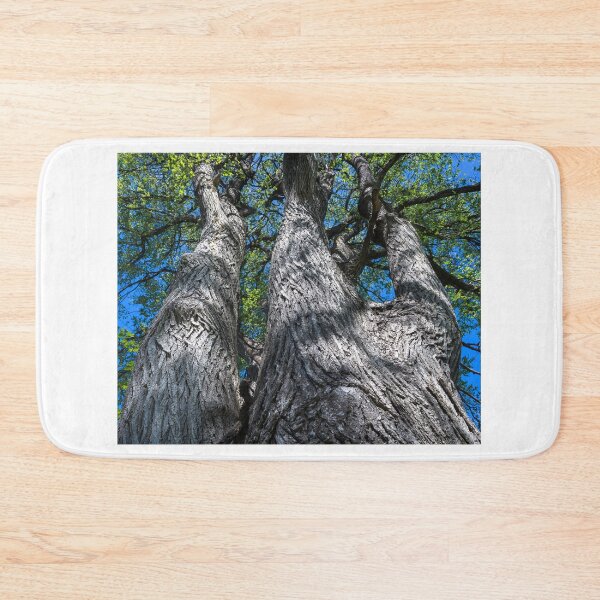Item preview, Spring has sprung on top! designed and sold by Joel Bader.