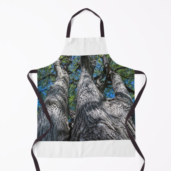 Item preview, Spring has sprung on top! designed and sold by Joel Bader.