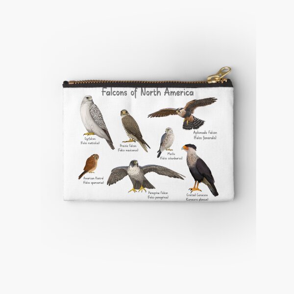 Item preview, Falcons of North America designed and sold by Kindahawkward.
