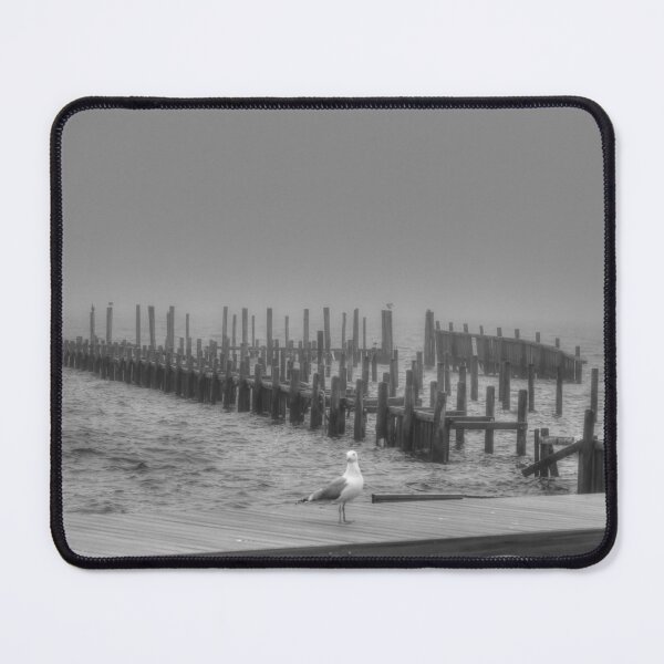 Item preview, Seagull Grounded On The Boardwalk Along the Barnegat Bay at the Jersey Shore designed and sold by BradKnorrArt.