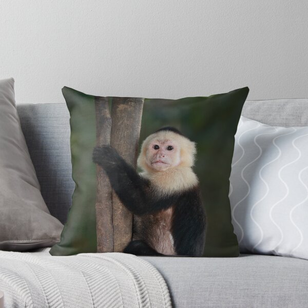 Item preview, Monkeying Around designed and sold by mlorenz.