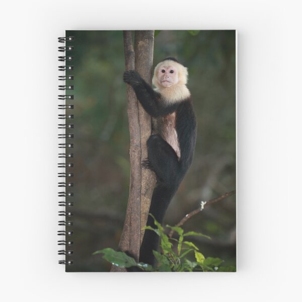 Item preview, Monkeying Around designed and sold by mlorenz.