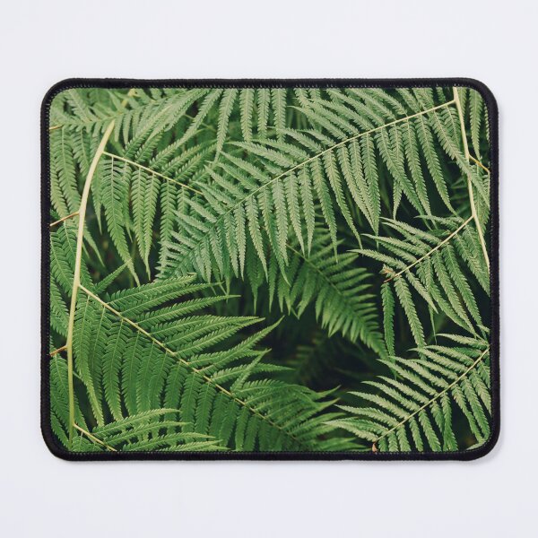 Item preview, Beautiful Green Tree Fern Fronds designed and sold by Chee Sim.
