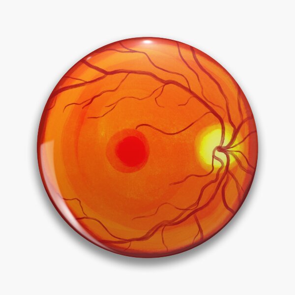 Item preview, Ocular Anatomy Retinal Photo Painting designed and sold by Octician.