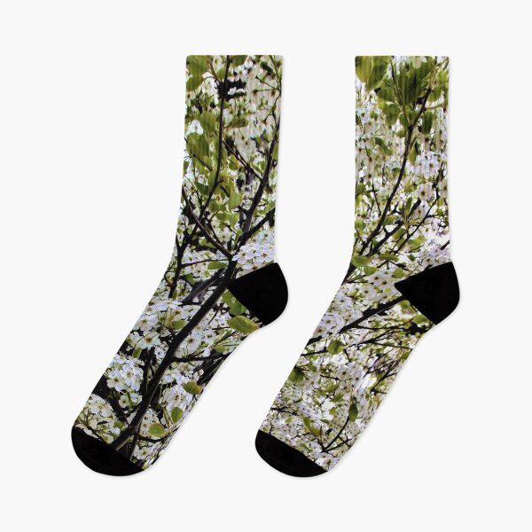 Item preview, White Flower Tree Branches designed and sold by Scott and Mary Schneider art_photography.