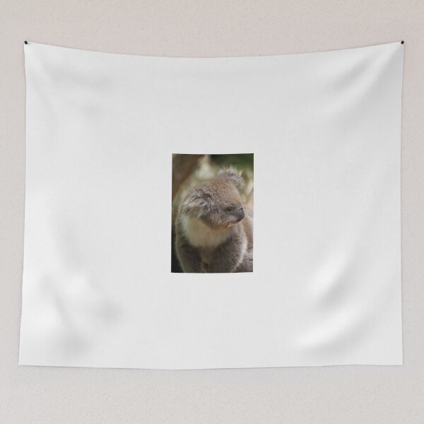 Item preview, Koala In Profile designed and sold by GP1746.