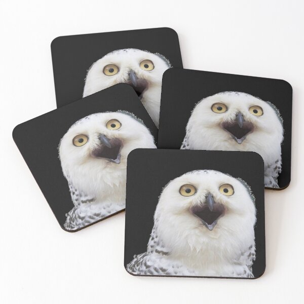 Item preview, OOOOOOWWWWLLLLLLL designed and sold by ickiskull.