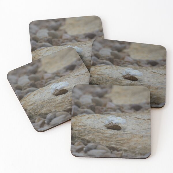 Item preview, Petals and a rock designed and sold by Shizenkai.