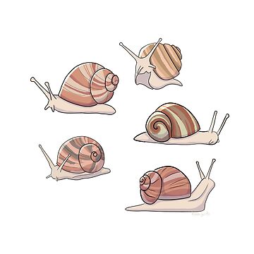 Artwork thumbnail, Snail Joy - Five Snails by RhondaLuluArt