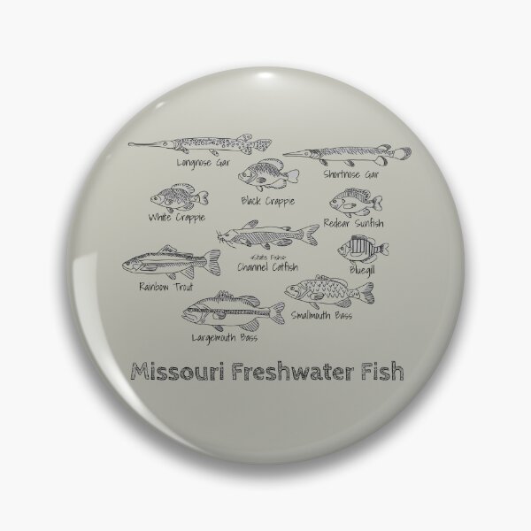 Item preview, Missouri freshwater fish designed and sold by Jamie Kotthoff.