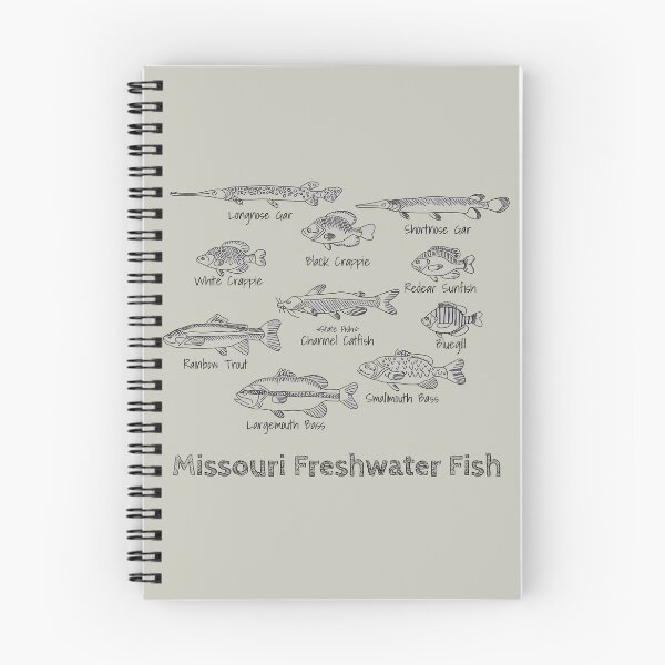 Item preview, Missouri freshwater fish designed and sold by Jamie Kotthoff.
