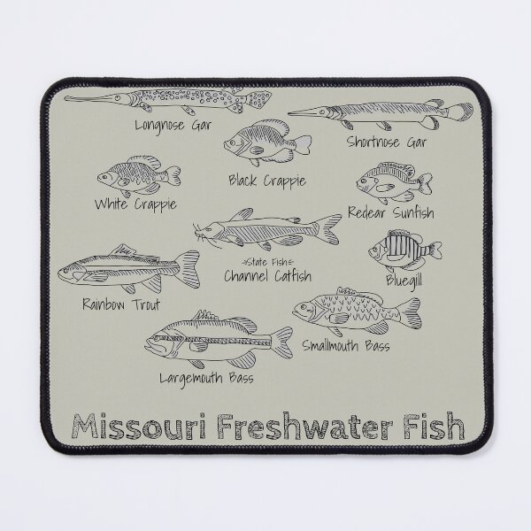 Item preview, Missouri freshwater fish designed and sold by Jamie Kotthoff.