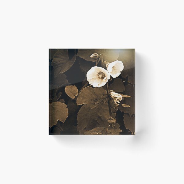 Item preview, Double Hollyhock designed and sold by Diane Arndt.