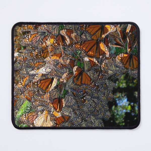 Item preview, Monarch Population 4/12/22 designed and sold by milkymintshoppe.
