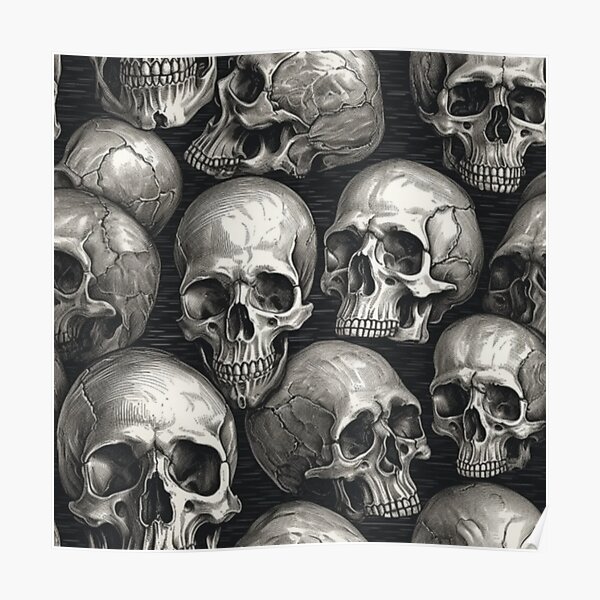 Sketched Skulls Poster
