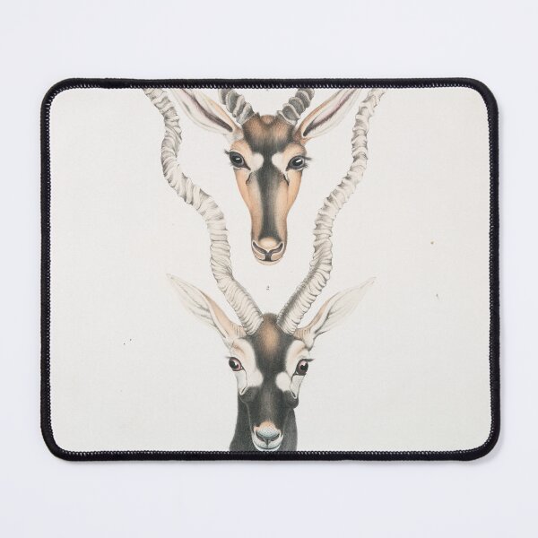 Item preview, Vintage Antelope Head Illustrative Diagram (1834) designed and sold by BravuraMedia.