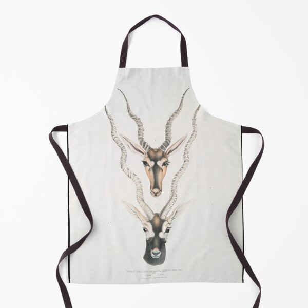 Item preview, Vintage Antelope Head Illustrative Diagram (1834) designed and sold by BravuraMedia.