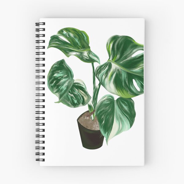 Item preview, Monstera Albo designed and sold by ParksPlace.