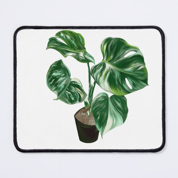 Item preview, Monstera Albo designed and sold by ParksPlace.
