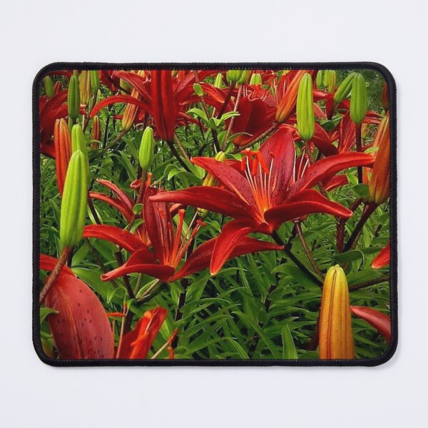 Item preview, Passion for Living designed and sold by seventySIXart&photo .