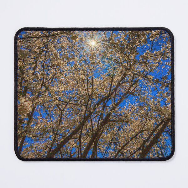 Item preview, Sunlight in the Cherry Trees designed and sold by James Hoffman.