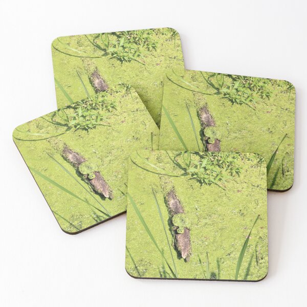 Item preview, Duckweed Disguise designed and sold by CJGrimes.